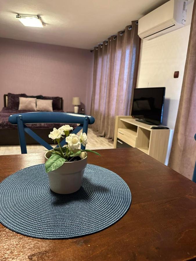 Вила Николета Hotel สวิติ วลัส ภายนอก รูปภาพ