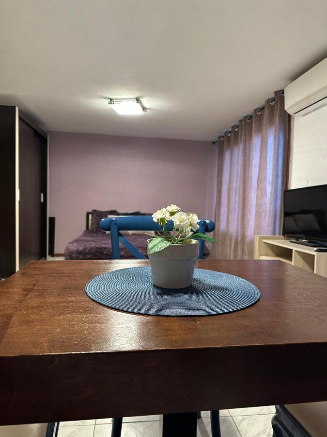Вила Николета Hotel สวิติ วลัส ภายนอก รูปภาพ