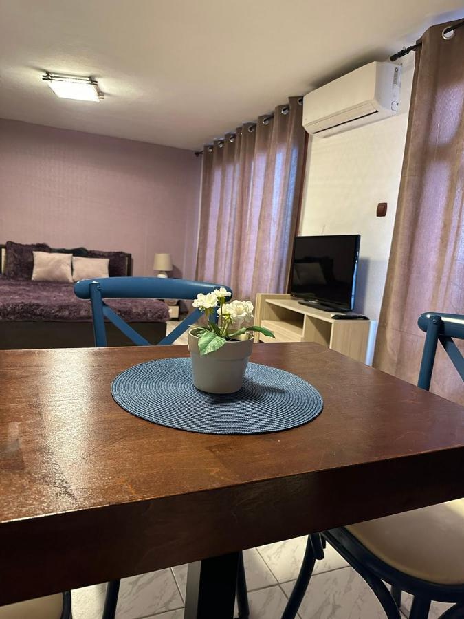 Вила Николета Hotel สวิติ วลัส ภายนอก รูปภาพ